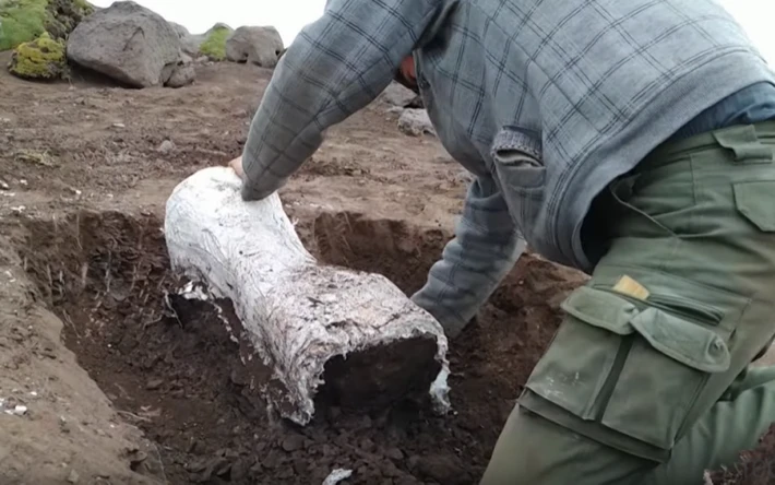 Nueva expedición a yacimiento paleontológico  cercano a El Calafate: "Esto recién comienza", destacó el dr Fernando Novas