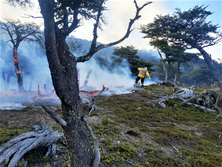 PN Los Glaciares: se suman brigadistas para combatir el incendio en Estancia Cristina