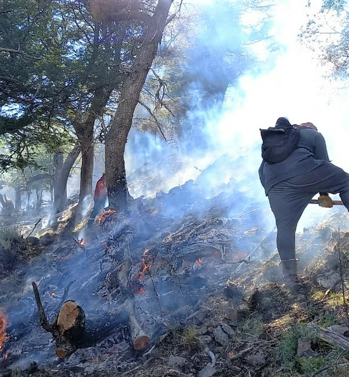 Incendio en el Valle del Río Oro: el fuego está contenido pero los brigadistas continúan trabajando en el lugar